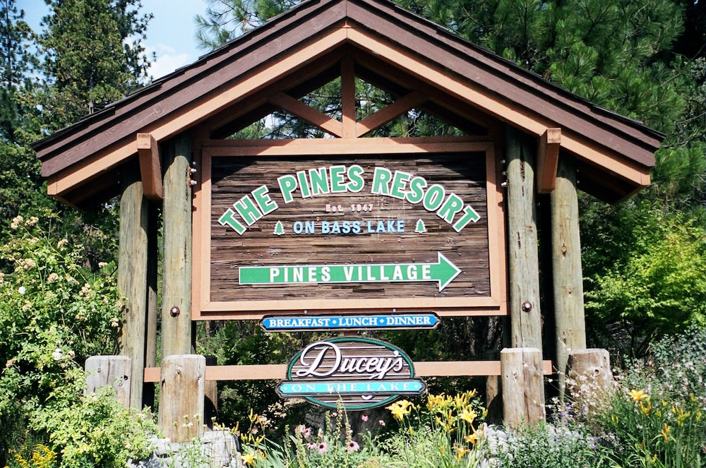 The Pines Resort - photo 128