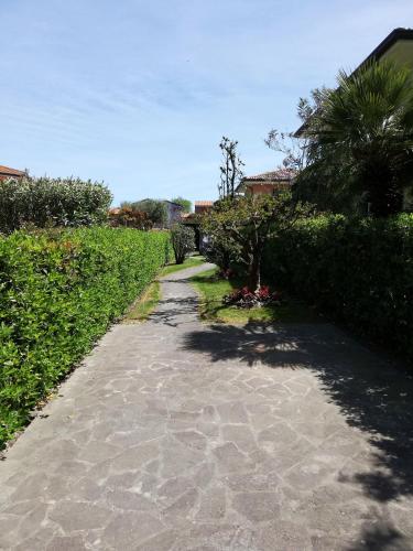 Allegra in Unknown City, Italy