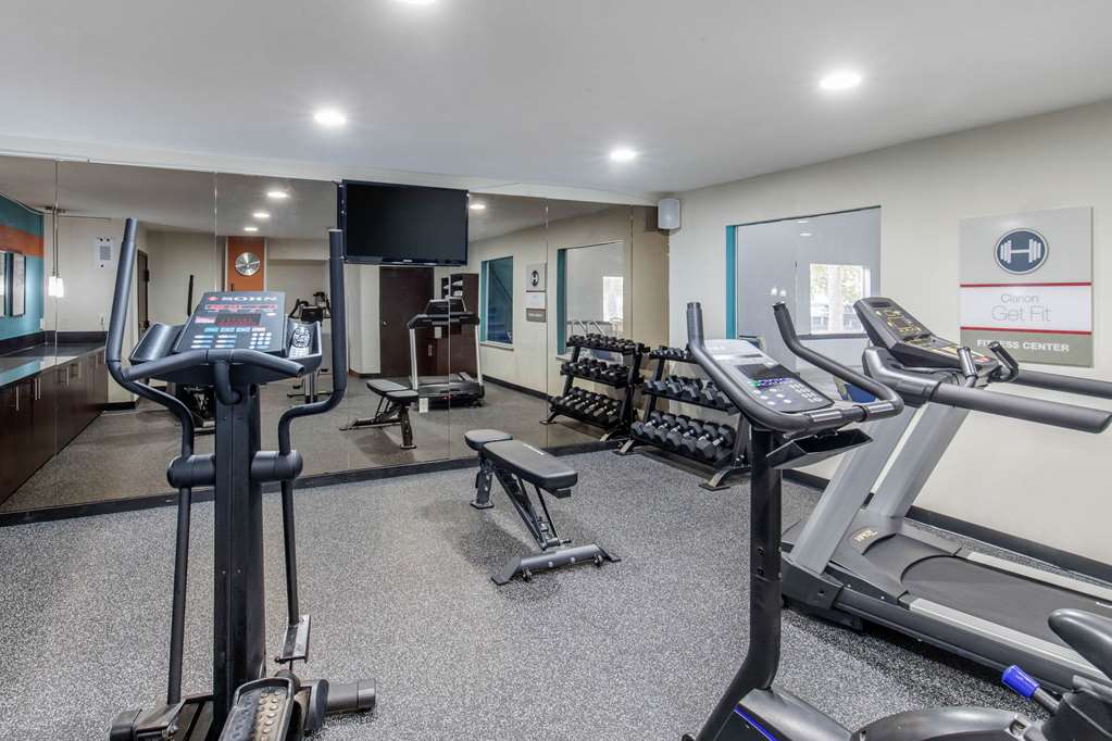 Clarion Inn & Suites DFW North - photo 37