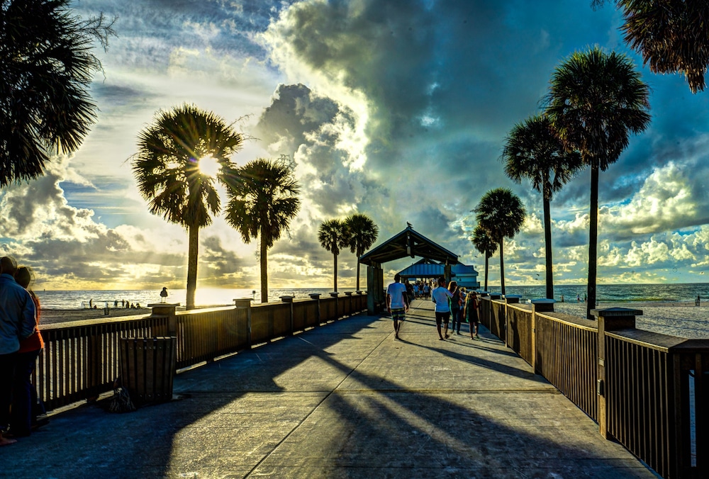 Holiday Inn Express Hotel & Suites Tampa Northwest Oldsmar by IHG - photo 85