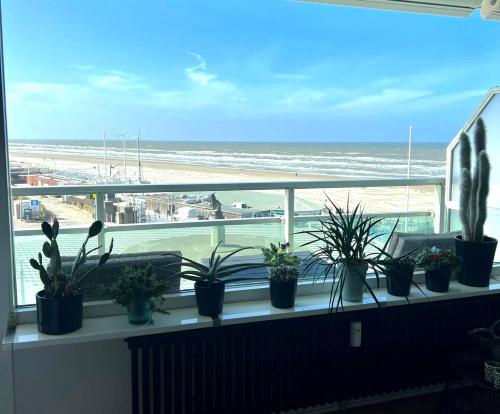 Apartment Fleurette — 4-Star Luxury Hotel in Zandvoort, Netherlands