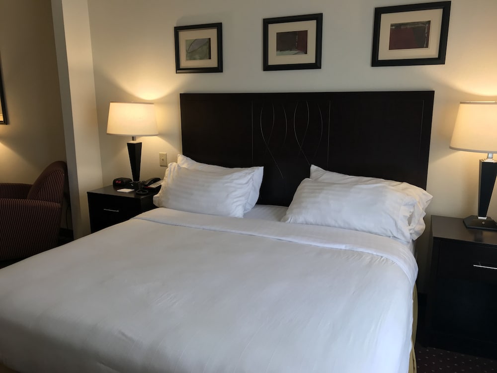 Holiday Inn Express Syracuse Fairgrounds an IHG Hotel - photo 5