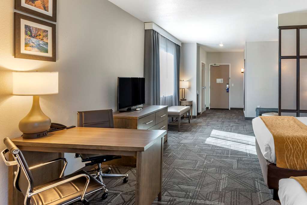 Comfort Inn & Suites Salt Lake City Airport - photo 64