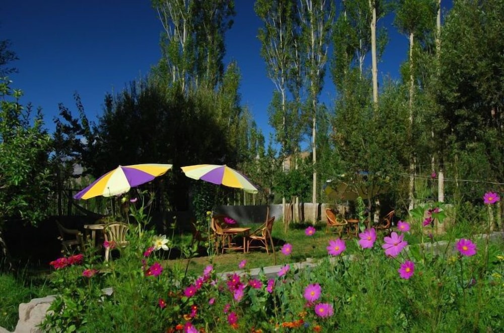 Hotel Snow Lion - last minute hotel in Leh