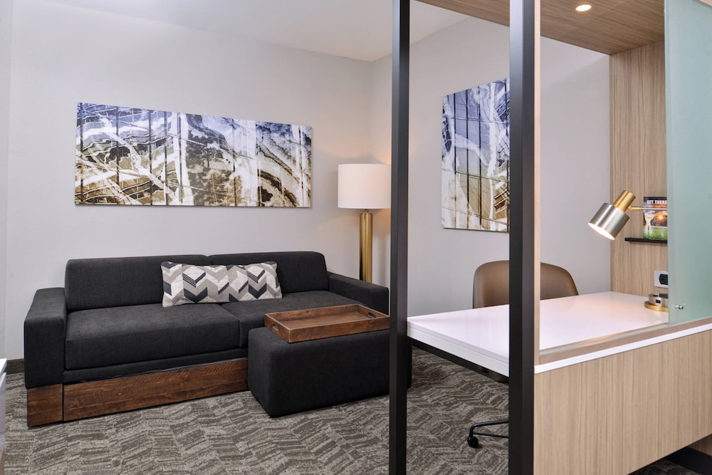 SpringHill Suites by Marriott Springfield Southwest - photo 7