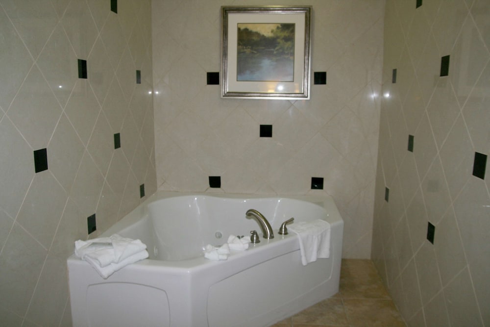 Hampton Inn Alpine - photo 9