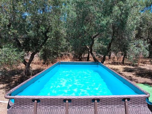 Casale Eucalipto — Monopoli — photo 3