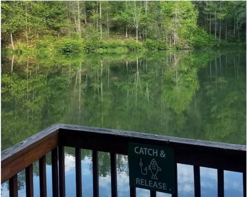 Santas Lakehouse On the Lake Arcade Game Hot Tub 560 FREE tickets each paid day - photo 35