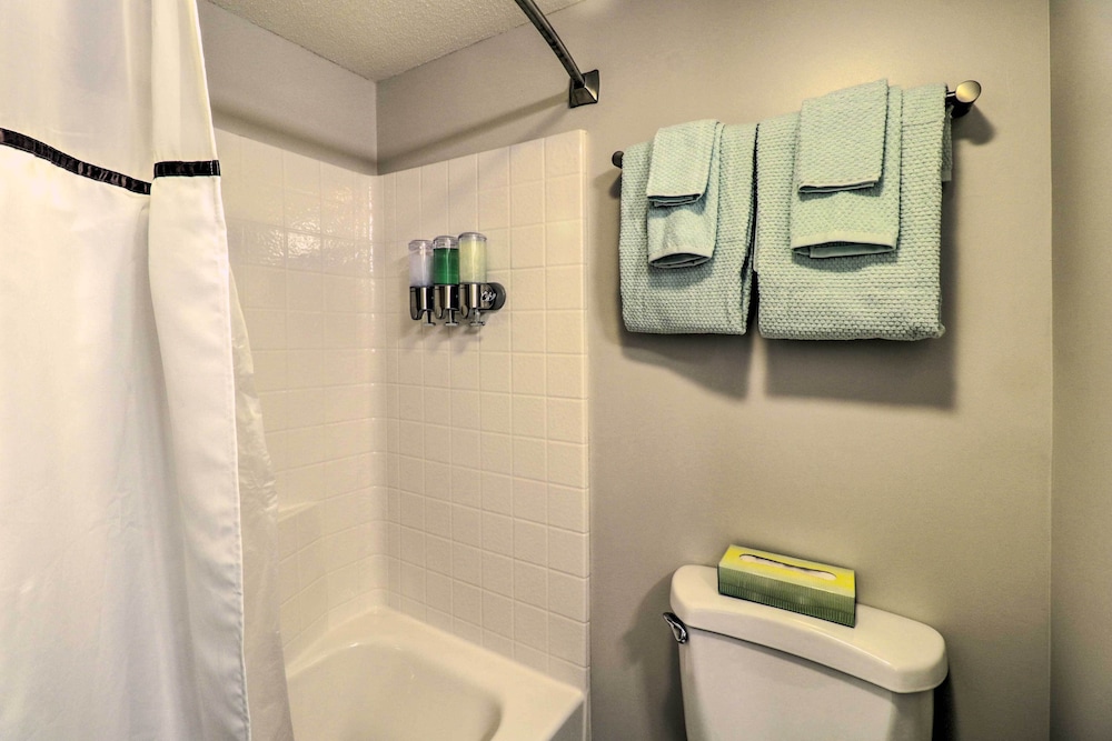 Wintergreen Resort Retreat with Skiing Access - photo 5