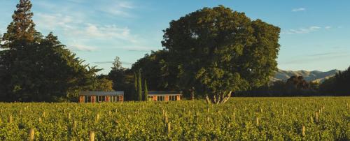 Walnut Block Cottages in Blenheim, New Zealand