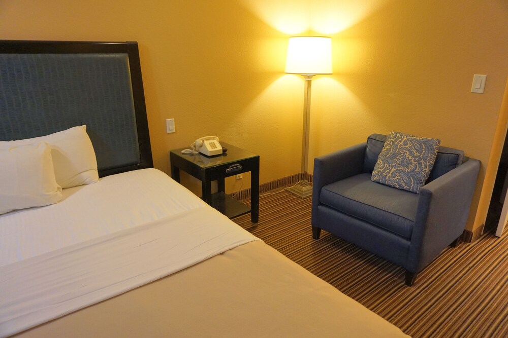 Hollywood Inn Express South - photo 15