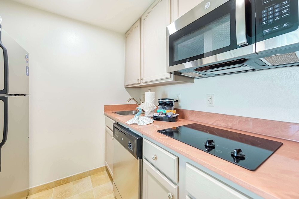 Homewood Suites by Hilton East Rutherford Meadowlands - photo 31