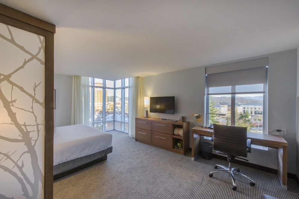 DoubleTree by Hilton Asheville Downtown - photo 10