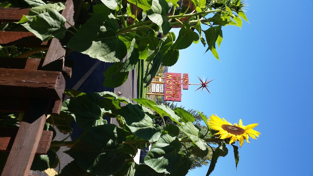 Long Holiday Motel - photo 50