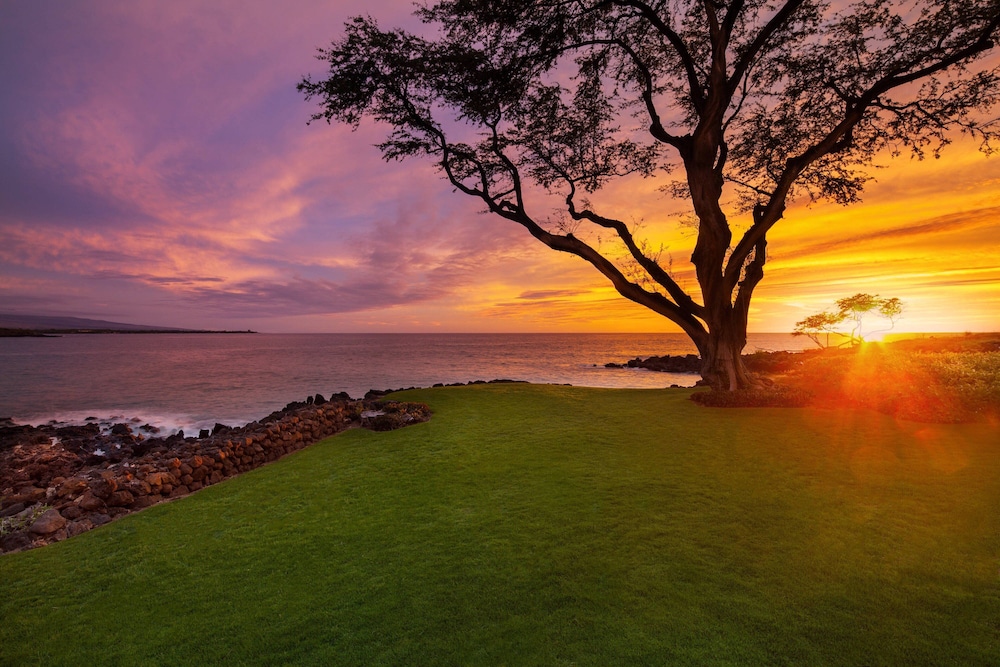 The Westin Hapuna Beach Resort - photo 200