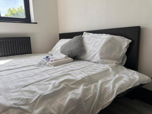 Spacious Double near Train Station — Birmingham — photo 3