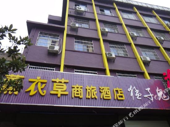 Lavender Hotel - carbon neutral hotel in Changsha