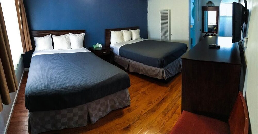 Golden Bear Hotel - photo 11