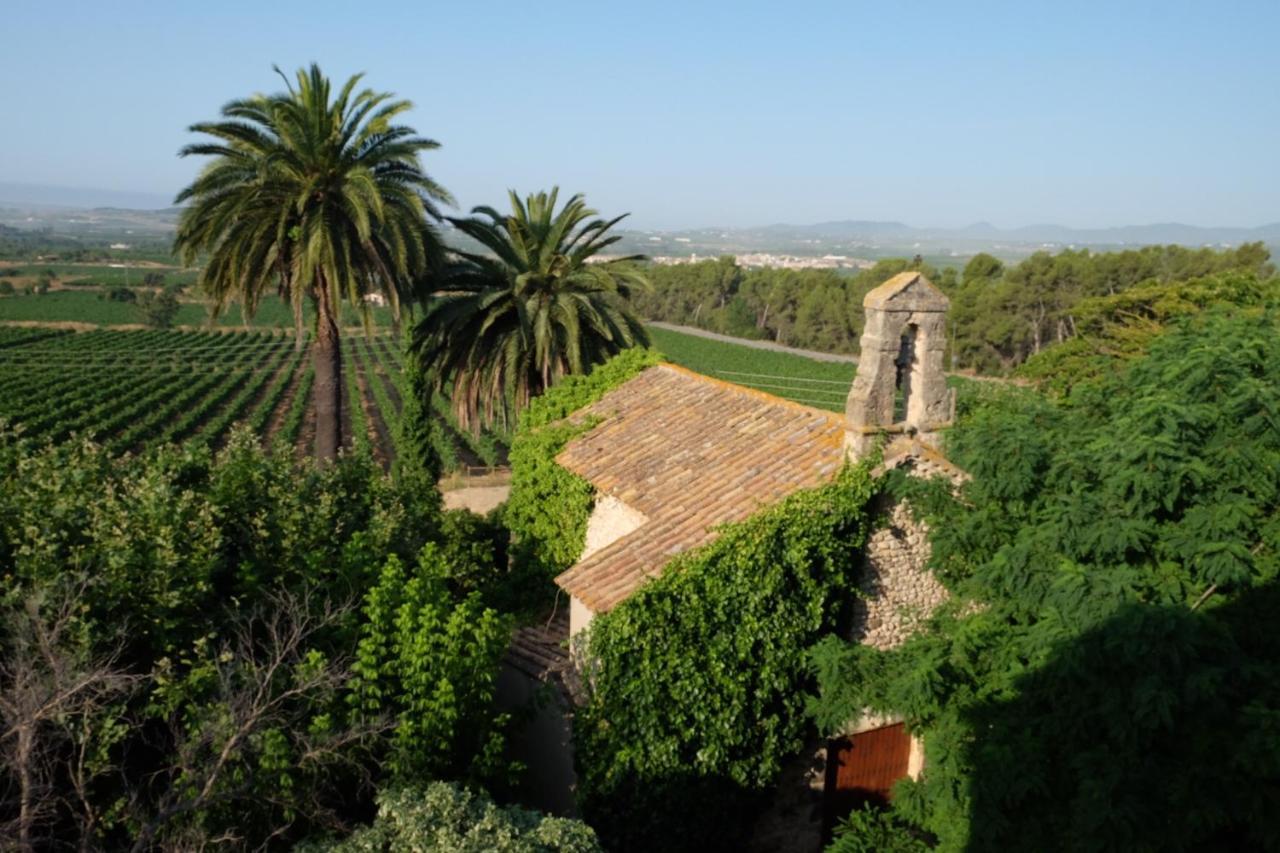 Mas Palou — El Pla Del Penedes