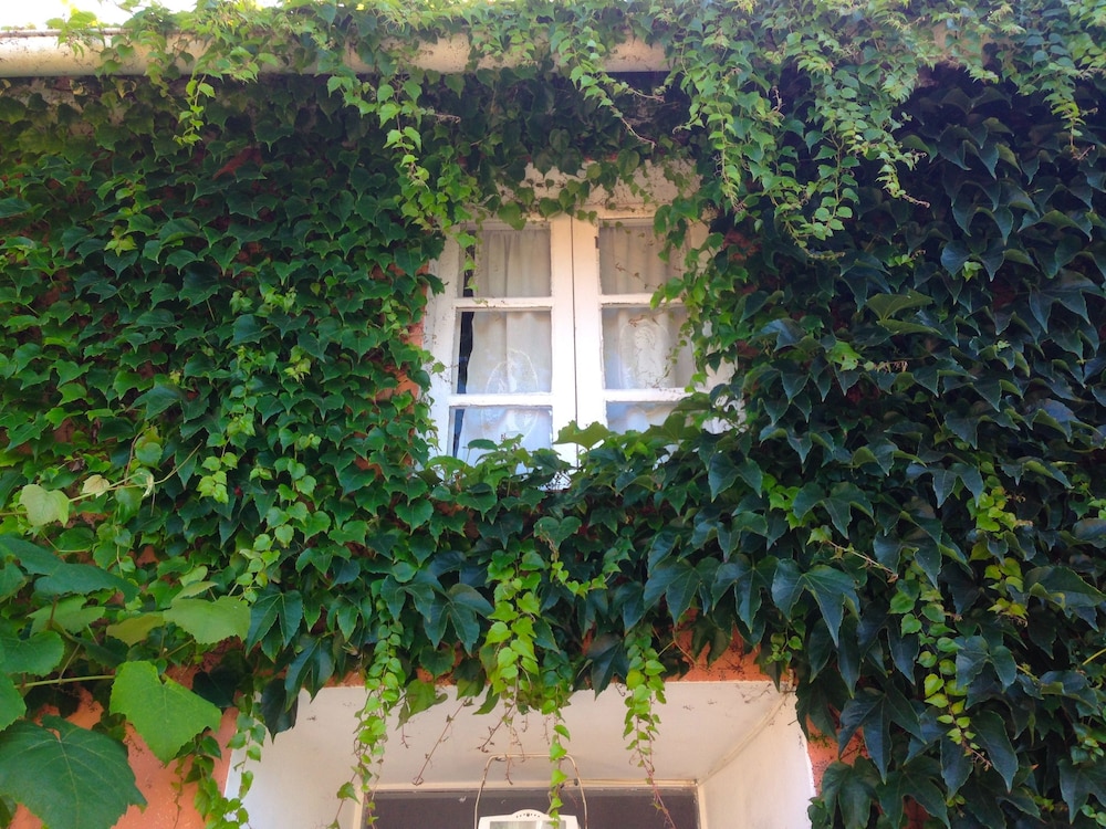 Casa Lourido 11686121 — Sada