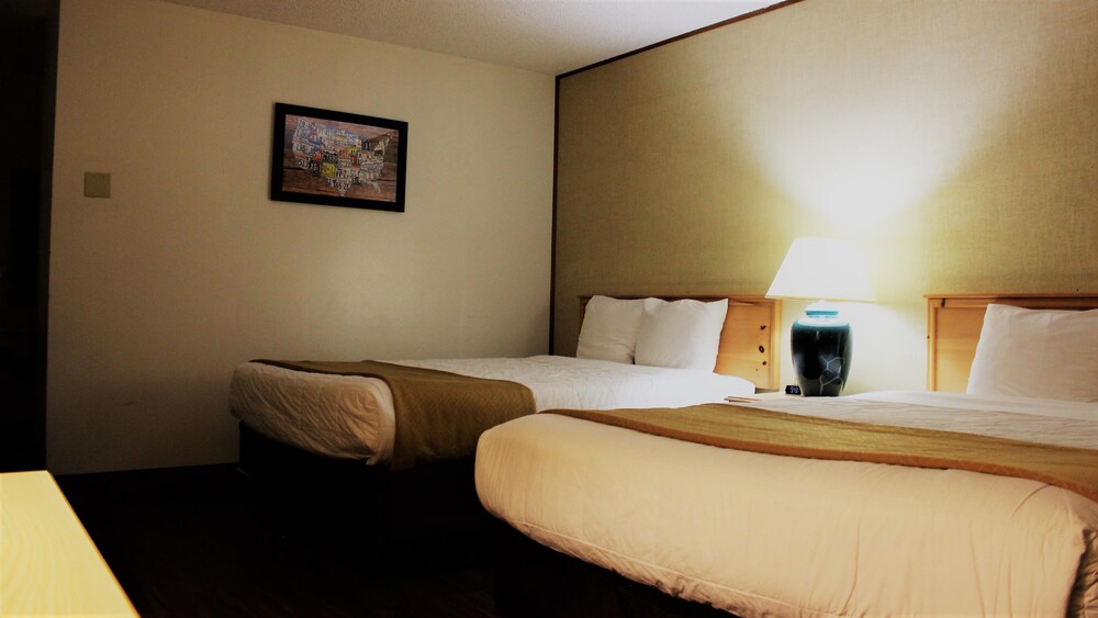 Econo Lodge Inn and Suites Central - photo 6