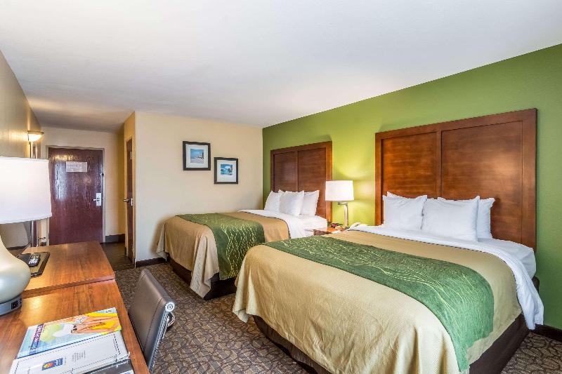 Comfort Inn & Suites Panama City North - photo 50