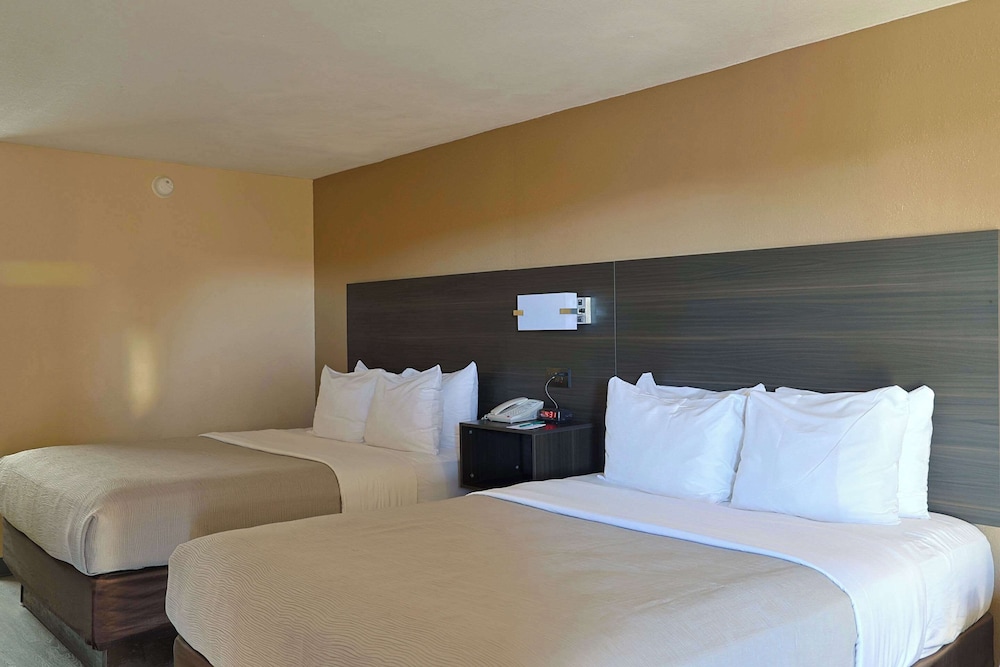 Quality Inn Kennedy Space Center - photo 42
