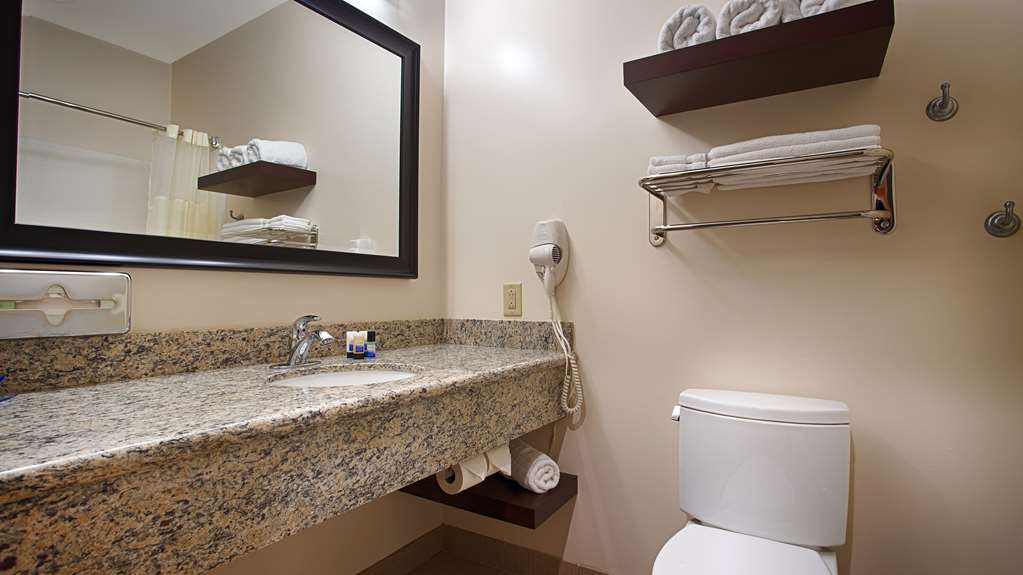 Best Western Plus Finger Lakes Inn & Suites - photo 21