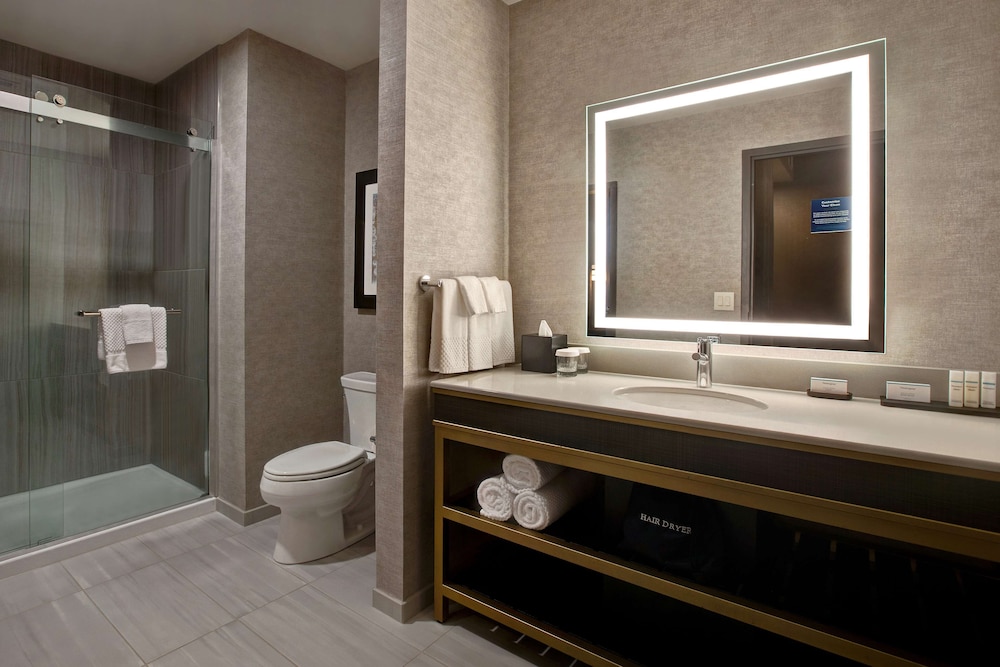 Embassy Suites by Hilton Rockford Riverfront - photo 33