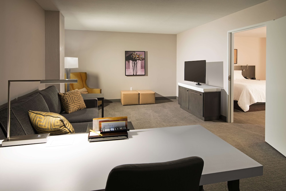 Hilton Garden Inn Las Colinas - photo 13