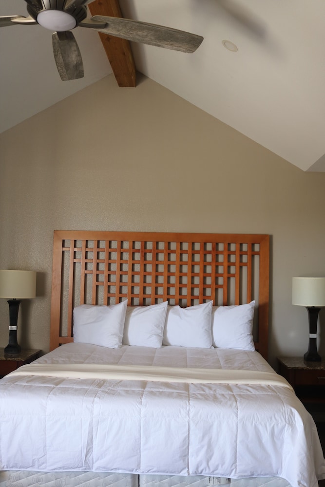 Mg Inn & Suites - photo 10