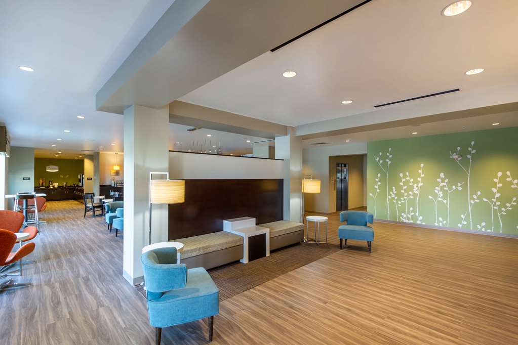 Sleep Inn & Suites Tampa South - photo 6