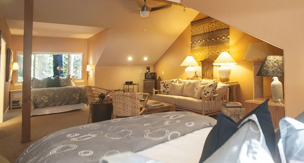 Harmony Ridge Lodge - photo 11