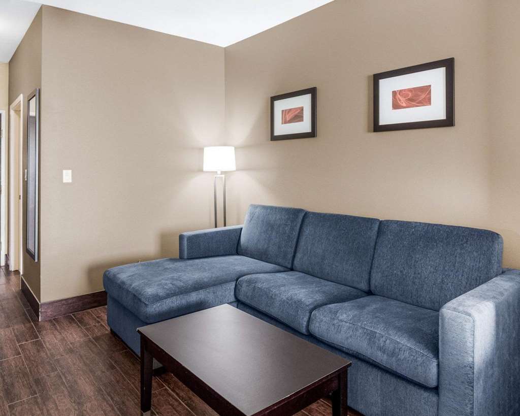 Comfort Suites Odessa near University - photo 18