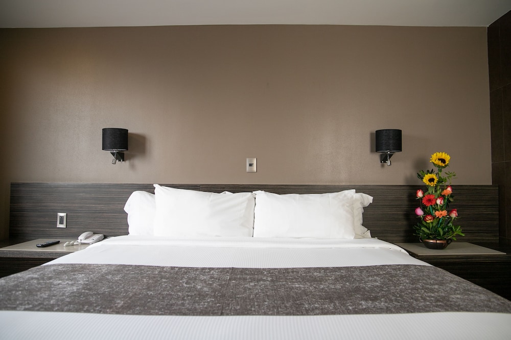 Hotel Brasilia