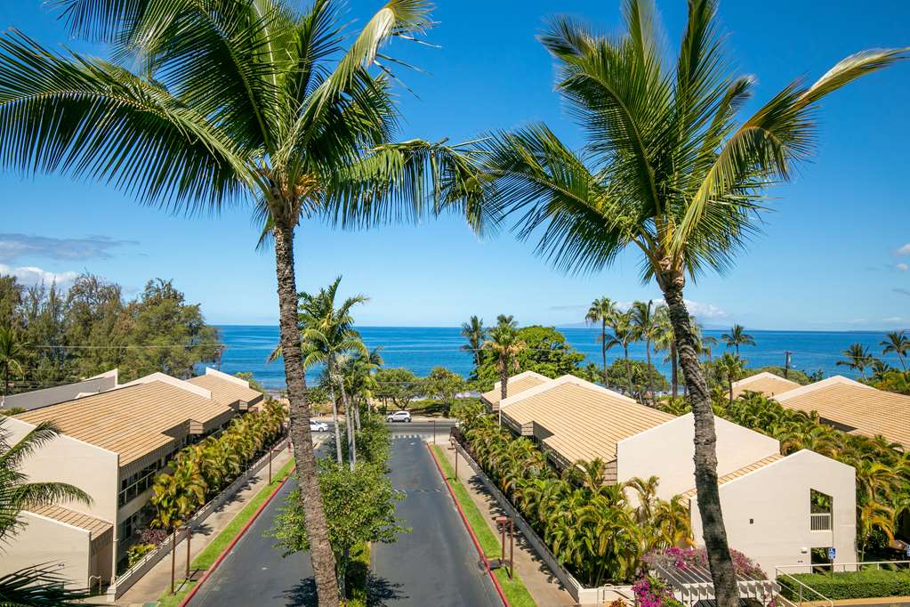 Aston at the Maui Banyan - photo 4