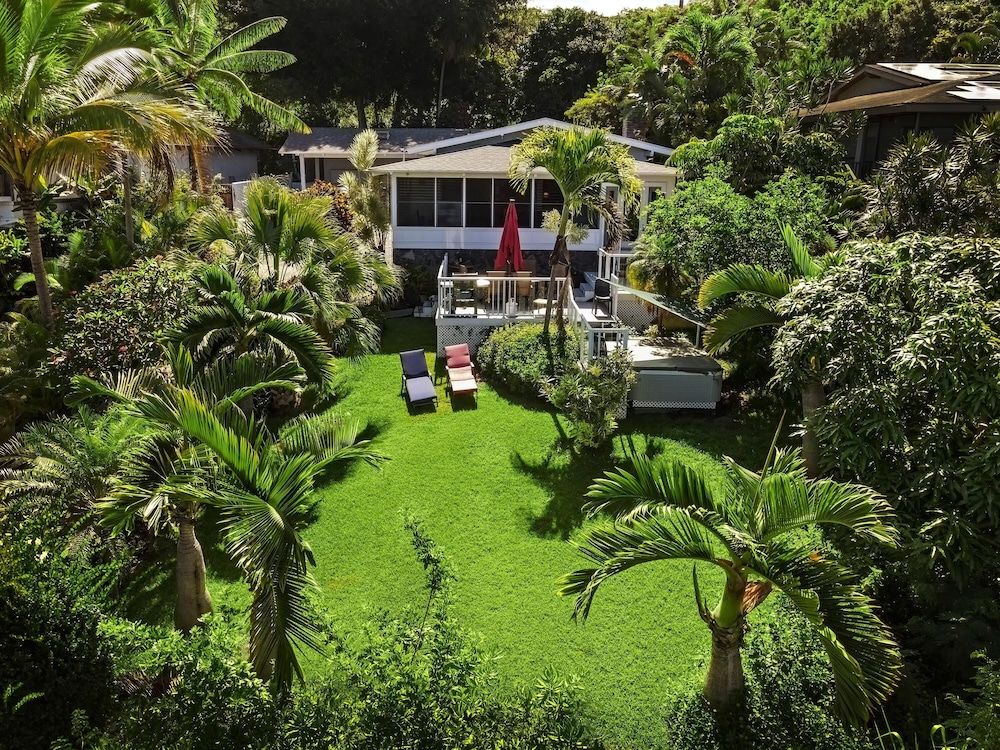 Koana Breeze - photo 32
