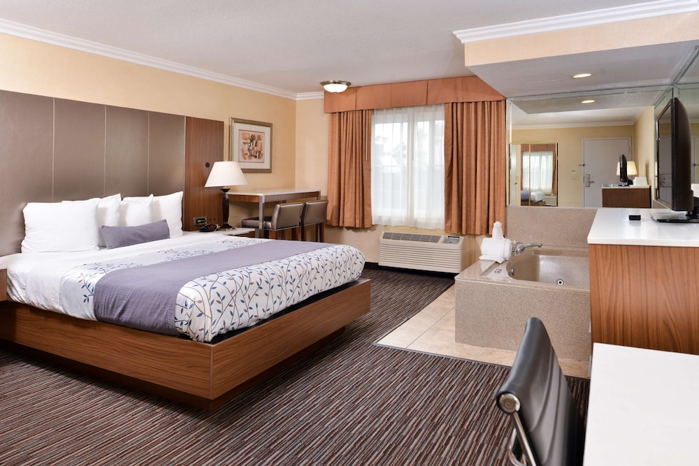 Best Western Airpark Hotel LAX Airport LA Stadium - photo 16
