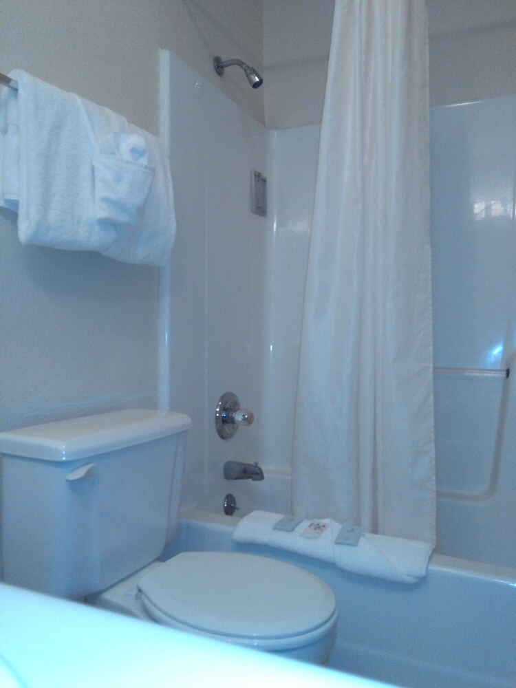 Victorian Palace - photo 20