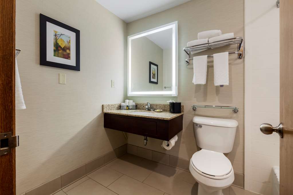 Best Western Plus Dubuque Hotel & Conference Center - photo 49