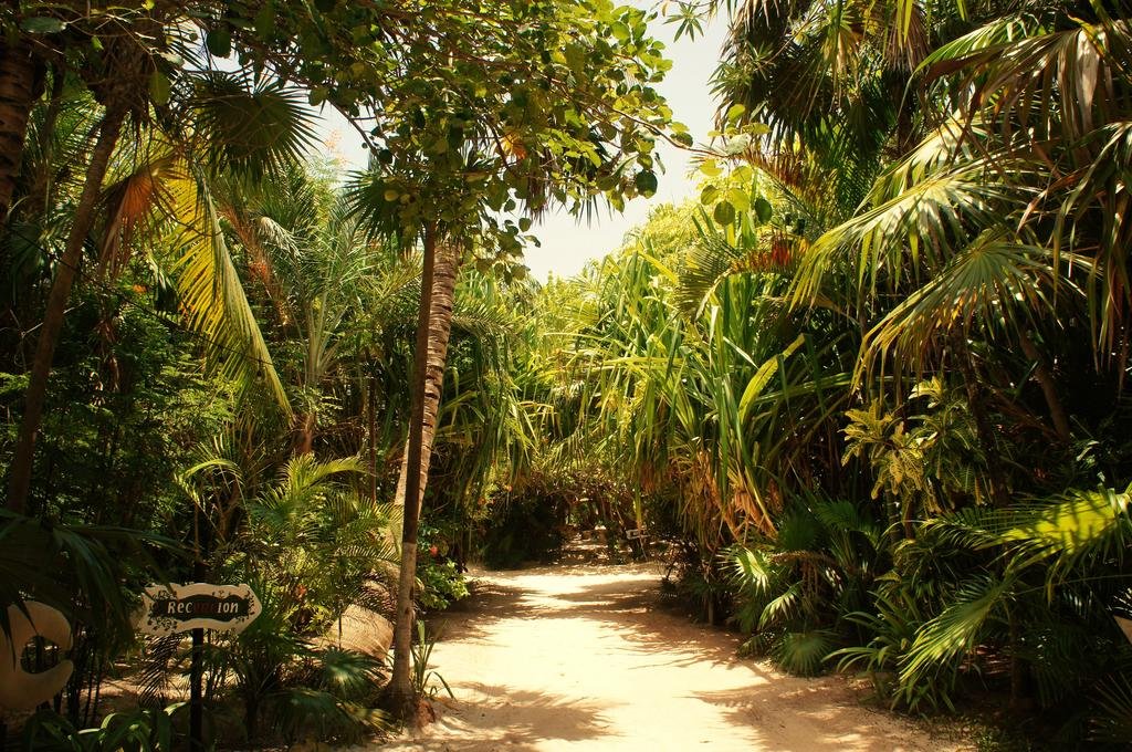 Cabañas La Luna — 4-Star Luxury Hotel in Tulum, Mexico