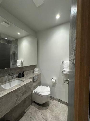 Luxurious Studio Central Prime Reading Location CHRL F18