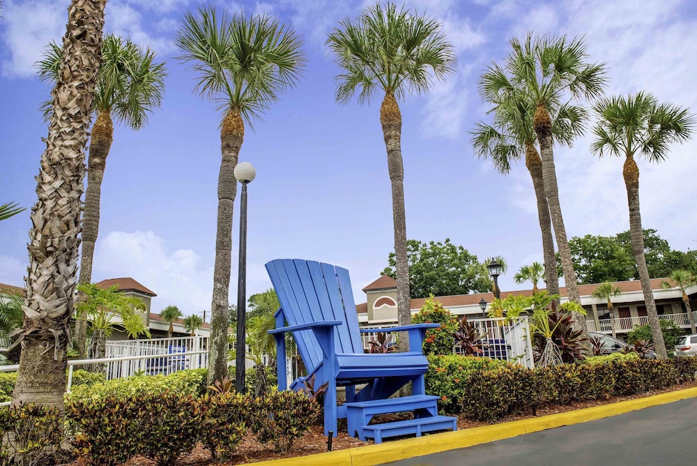 Hotel South Tampa & Suites - photo 37