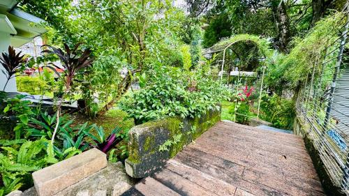 Place 236 - carbon neutral hotel in Kandy