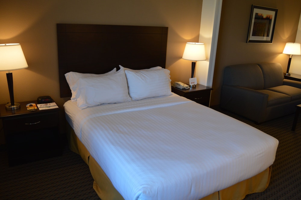 Holiday Inn Express & Suites Winner by IHG - photo 6
