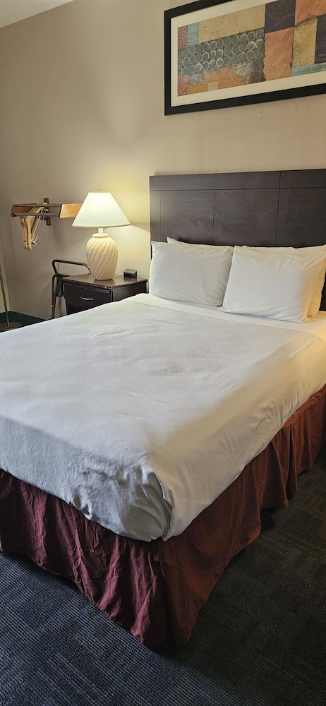 Bellis Inn - photo 13