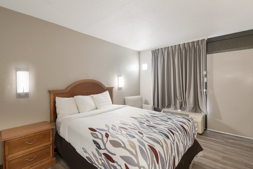 Red Roof Inn Lenoir - photo 11