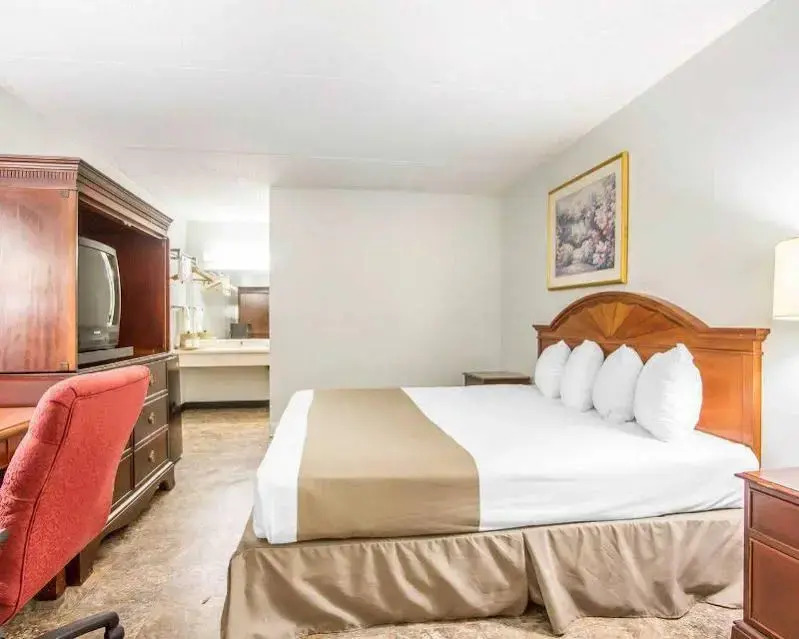 Rodeway Inn & Suites Fort Rucker - photo 13
