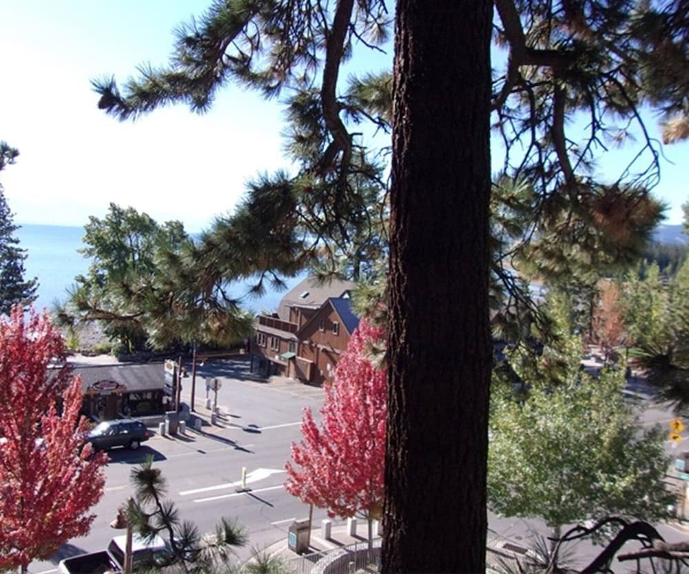 Pepper Tree Inn - photo 12