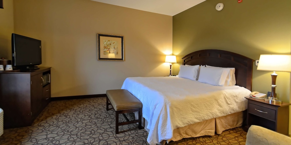 Hampton Inn Geneseo - photo 8